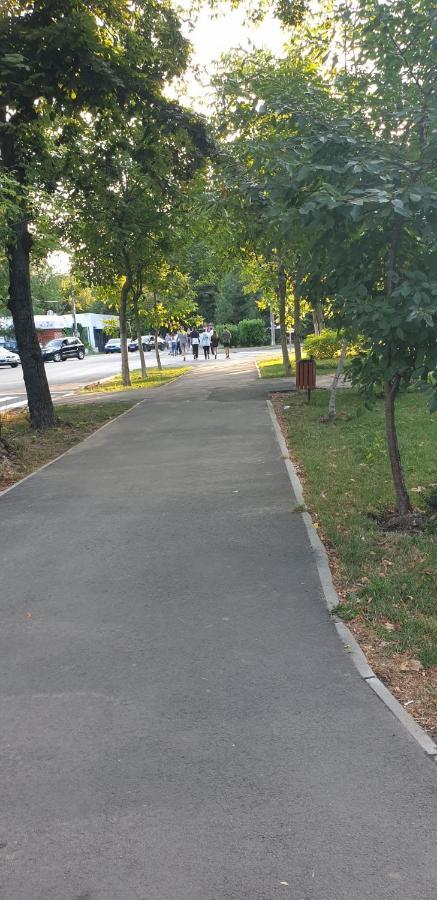 Apartament Park 布勒伊拉 外观 照片